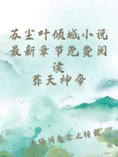 蘇塵葉傾城小說最新章節免費閱讀
